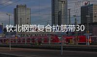 欽北鋼塑復(fù)合拉筋帶30020B說明