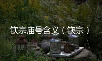 欽宗廟號含義（欽宗）