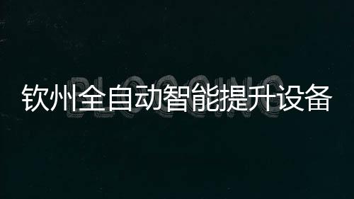 欽州全自動智能提升設備