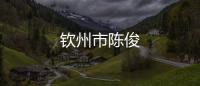 欽州市陳俊