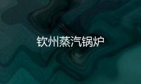 欽州蒸汽鍋爐