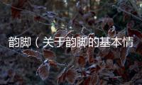 韻腳（關(guān)于韻腳的基本情況說(shuō)明介紹）