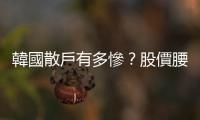 韓國散戶有多慘？股價腰斬的狂熱信徒「特斯蘭」，還有FTX一場遊戲一場夢