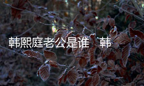 韓熙庭老公是誰   韓熙庭和王永紅之間的故事人盡皆知