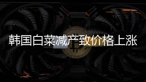韓國白菜減產致價格上漲 泡菜進口量創4年同期新高