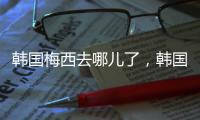 韓國梅西去哪兒了，韓國梅西現在在哪里