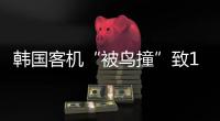 韓國客機“被鳥撞”致179死，飛機和飛鳥之間有幾道防線？丨漫熱點