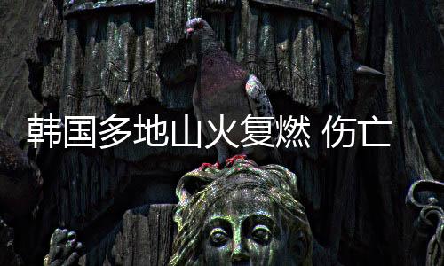 韓國多地山火復燃 傷亡人數(shù)升至70人
