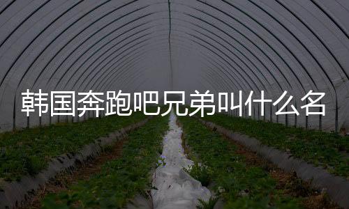韓國奔跑吧兄弟叫什么名字