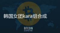 韓國女團kara組合成員具荷拉太美遭整型醫