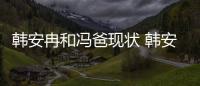 韓安冉和馮爸現狀 韓安冉馮爸做什么