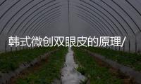 韓式微創雙眼皮的原理/過程講解，美眼小課堂科普！