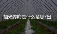 韜光養(yǎng)晦是什么意思?出處是哪?下一句是什么?