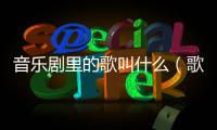 音樂(lè)劇里的歌叫什么（歌劇是什么樂(lè)曲）