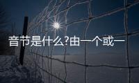 音節(jié)是什么?由一個(gè)或一個(gè)以上音素組合發(fā)音
