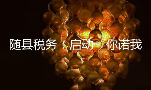 隨縣稅務(wù)：啟動(dòng)“你諾我辦”新模式