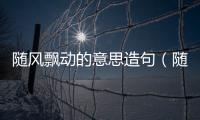 隨風(fēng)飄動(dòng)的意思造句（隨風(fēng)飄動(dòng)的意思）