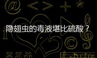 隱翅蟲的毒液堪比硫酸？其實，這些蟲子更要當心！