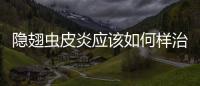 隱翅蟲皮炎應(yīng)該如何樣治療