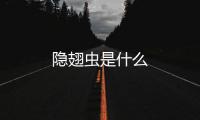 隱翅蟲是什么