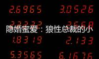 隱婚蜜愛：狼性總裁的小嬌妻