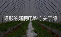 隱形的翅膀電影（關于隱形的翅膀電影的基本情況說明介紹）