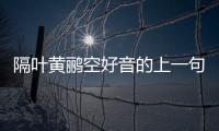 隔葉黃鸝空好音的上一句 隔葉黃鸝空好音的上一句是什么