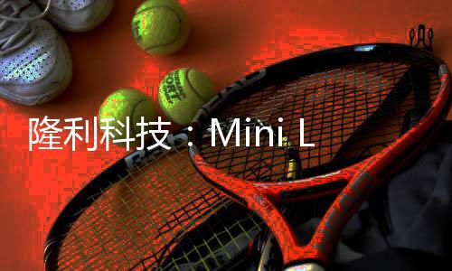 隆利科技：Mini LED車載背光業務占比逐步提升