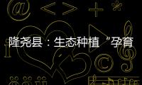 隆堯縣：生態(tài)種植“孕育”高品質(zhì)香梨