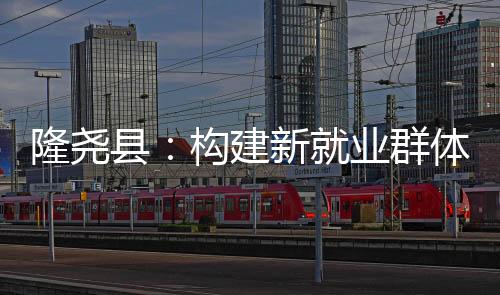 隆堯縣：構(gòu)建新就業(yè)群體服務(wù)圈