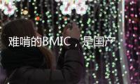 難啃的BMIC，是國產芯片下個突破口嗎？