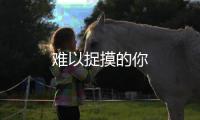 難以捉摸的你