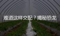 難道這樣交配？揭秘恐龍十大未解之謎