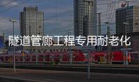 隧道管廊工程專用耐老化鋼邊式橡膠止水帶價格參考