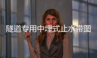 隧道專用中埋式止水帶圖片/圖集/圖解