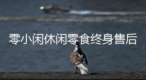 零小閑休閑零食終身售后服務，技術培訓升級讓你無憂