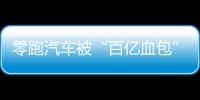 零跑汽車被“百億血包”掏空了
