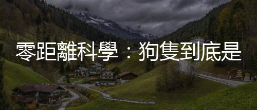 零距離科學：狗隻到底是喜歡主人還是點心？