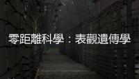 零距離科學(xué)：表觀遺傳學(xué)——創(chuàng)傷經(jīng)歷能遺傳後代？