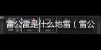 雷公雷是什么地雷（雷公雷地雷）