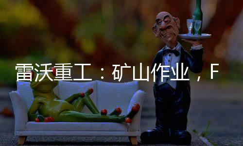 雷沃重工：礦山作業，FL966K