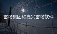 雷鳥集團(tuán)和嘉興雷鳥軟件科技有限公司的情況說明