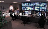 電價可能漲3成？王美花：臺電國際燃料成本、民生照顧須一起討論
