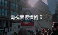 電視面板價格 9