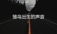 雛鳥出生的聲音