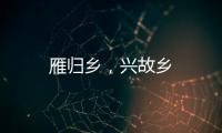 雁歸鄉，興故鄉