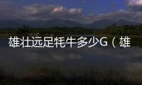 雄壯遠足牦牛多少G（雄壯遠足牦牛）