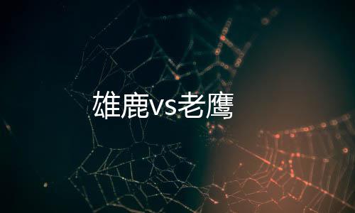 雄鹿vs老鷹
