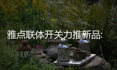 雅點(diǎn)聯(lián)體開關(guān)力推新品:拉絲黑開關(guān)