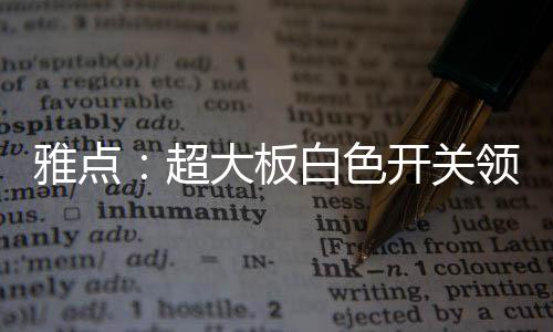 雅點：超大板白色開關領跑者